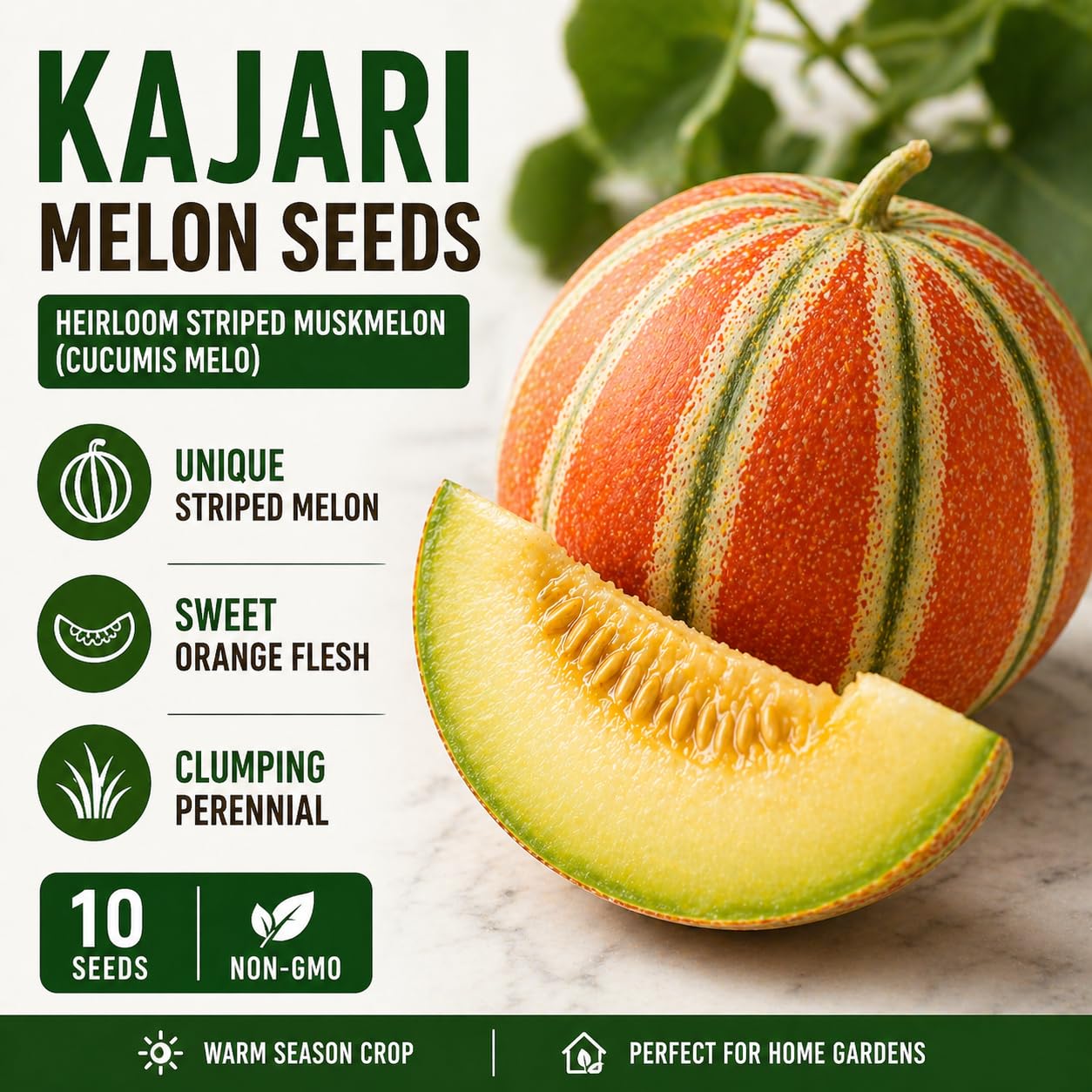 Amazon.com : Kajari Melon Seeds for Planting – Rare Heirloom